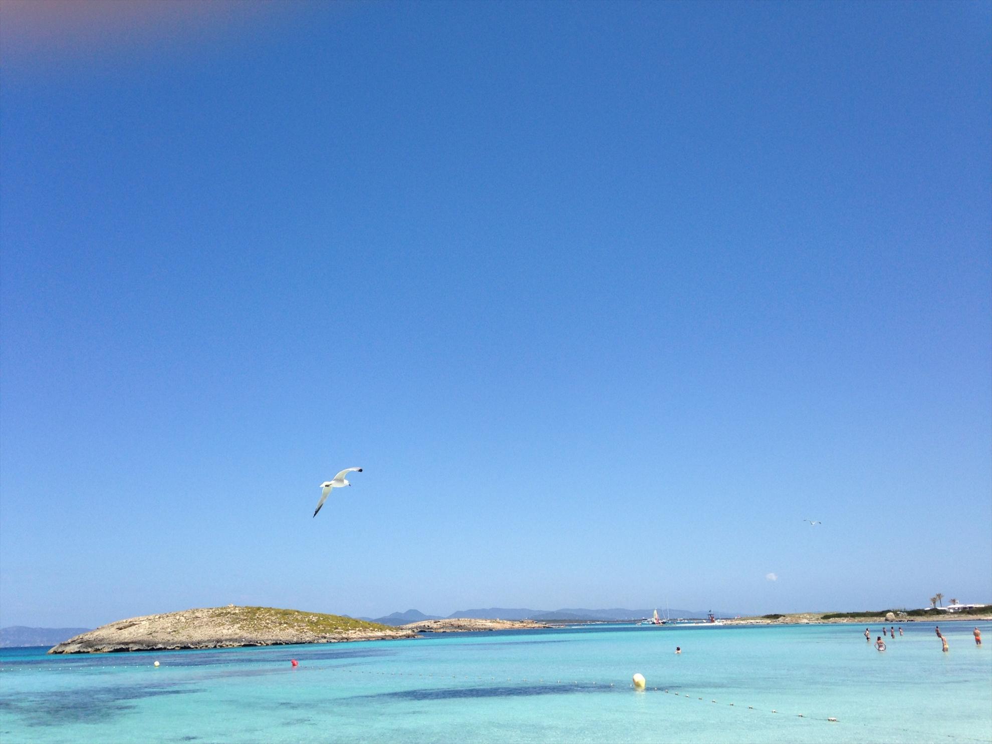 Carpbook - formentera-ibiza-spain.JPG